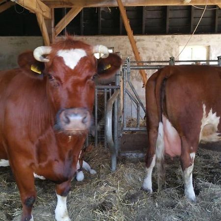 Landgoed Groot Boerle Acomodação com café da manhã Wijhe Exterior foto