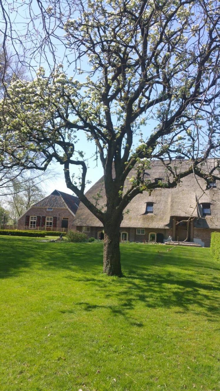 Landgoed Groot Boerle Acomodação com café da manhã Wijhe Exterior foto